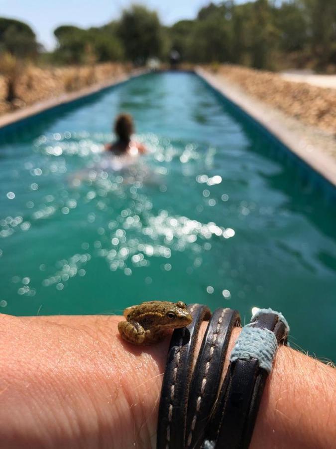 Sublim' Ecolodge Abela Buitenkant foto