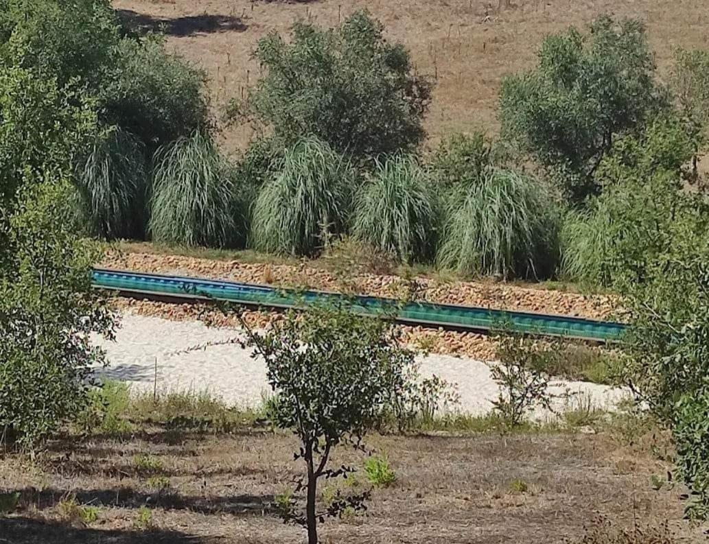 Sublim' Ecolodge Abela Buitenkant foto